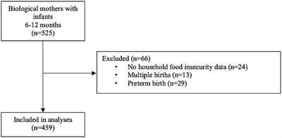 Household food insecurity is negatively associated with achievement of prenatal intentions to feed only breast milk in the first six months postpartum